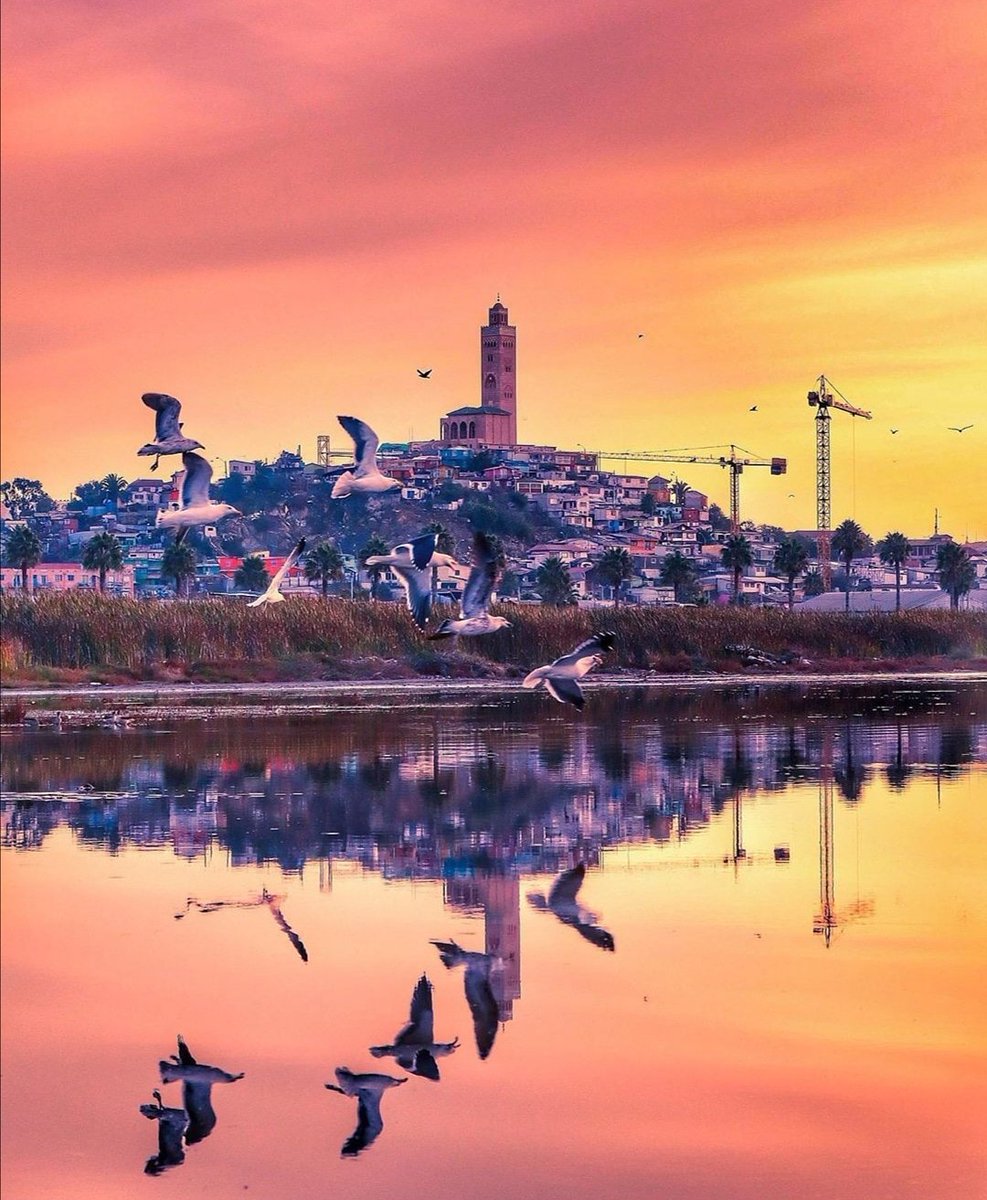 ContigoTurismo's tweet photo. Un nuevo atardecer con espejo natural 👣✨

#quédateencasa y deja que las imágenes te transporten a un rincón de la comuna puerto.
#Nosvolveremosaencontrar
#CoquimboSiempreContigo
📷 Franco Castillo ✨🎩 https://t.co/zpxf2GrCI9