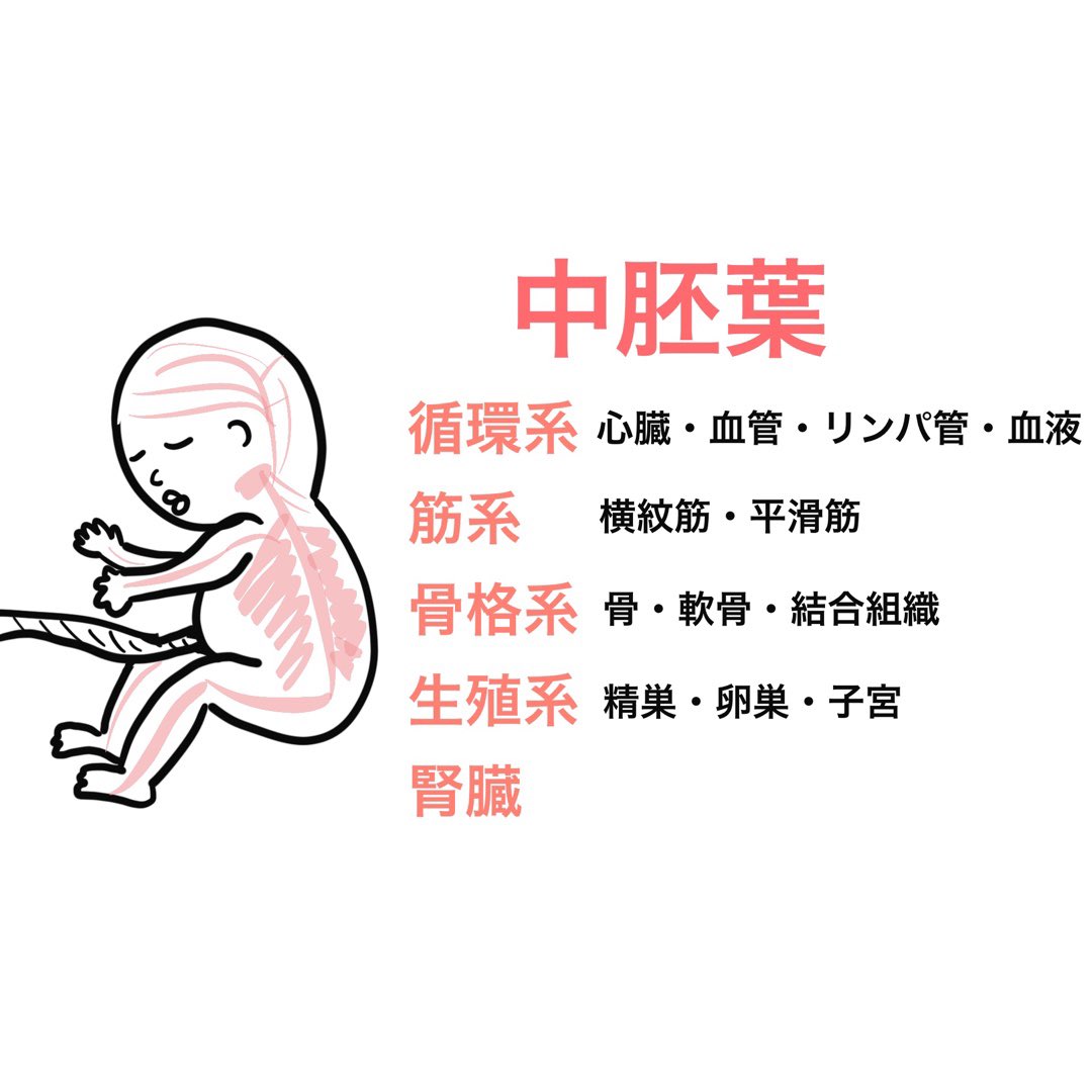 A List Of Rockybabyto S Photographs And Videos Whotwi Graphical Twitter Analysis