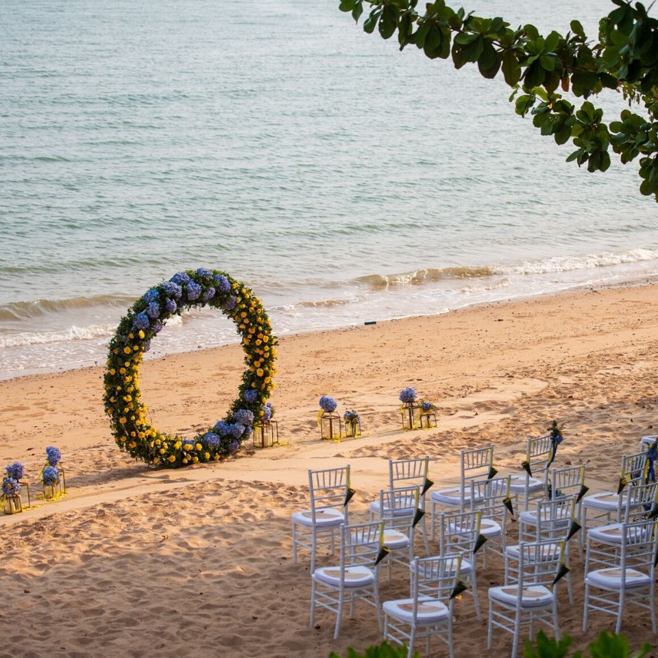 TheShellSea Krabi tweet media