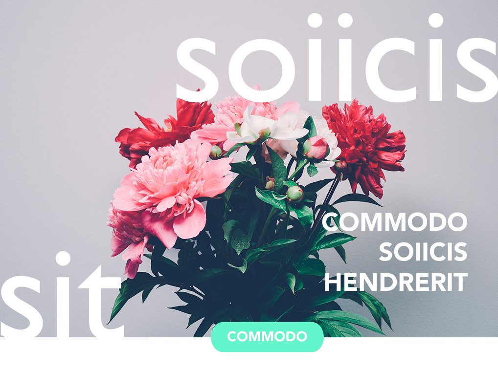 themeinn's tweet image. Solid banner designs by @theme.inn

#theme #flowers #flower #graphic #graphicdesign #photography #branding #happy #work #easy #templates #banner #be #active #make #my #dream #yes