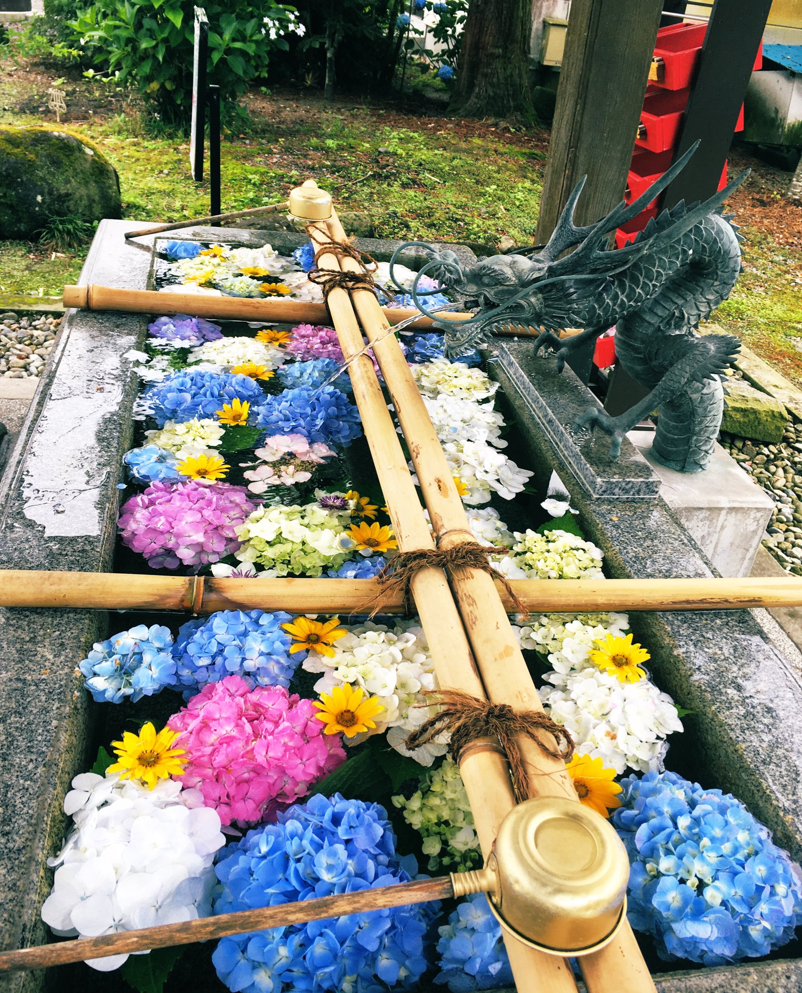 Happy 紫陽花の花手水に癒されました 十二支の水みくじもありますよ 栃木県 報徳二宮神社 今市 紫陽花 花手水 あじさい T Co Rcpwd7e1gr Twitter