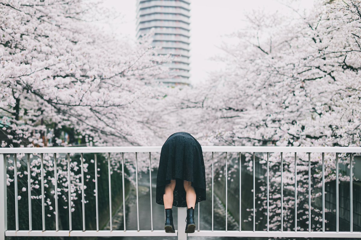 マネークリッパー吉沢 tweet media