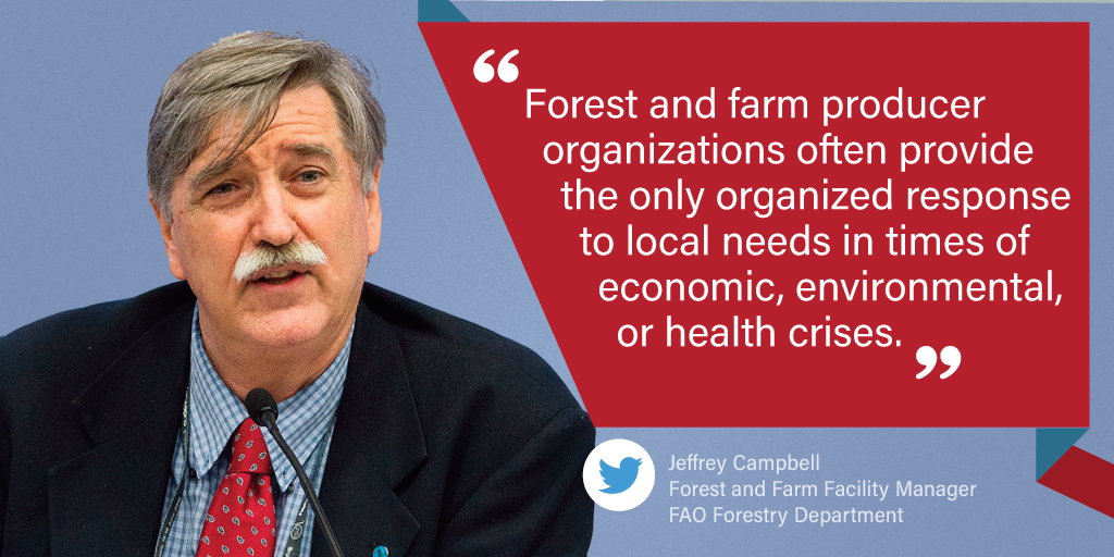 FAOForestry's tweet photo. "Forest and farm producer organizations often provide the only organized response to local needs in times of economic, environmental, or health crises." #FAO's Jeffrey Campbell https://t.co/xeiupCkBLK #ForestFarmFacility #covidforestrywebinarweek https://t.co/nGbDrdJ0c9