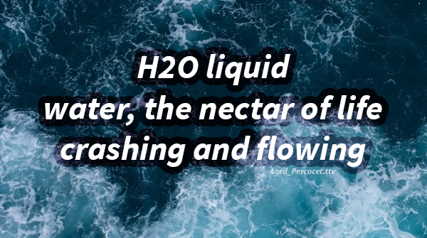 Goddess1Gamer's tweet photo. good morning. haiku about water : )
https://t.co/XXYSOq2yk1
#supportsmallstreams #smallstreamer #smallstreamercommunity #haiku #waterhaiku #shortpoem #creativewriting #poetry #funpoem #creativeprompts #writingprompts #haikuchallenge #twitchstreamers #twitchart #twitchwriters https://t.co/nwHxeicqP9