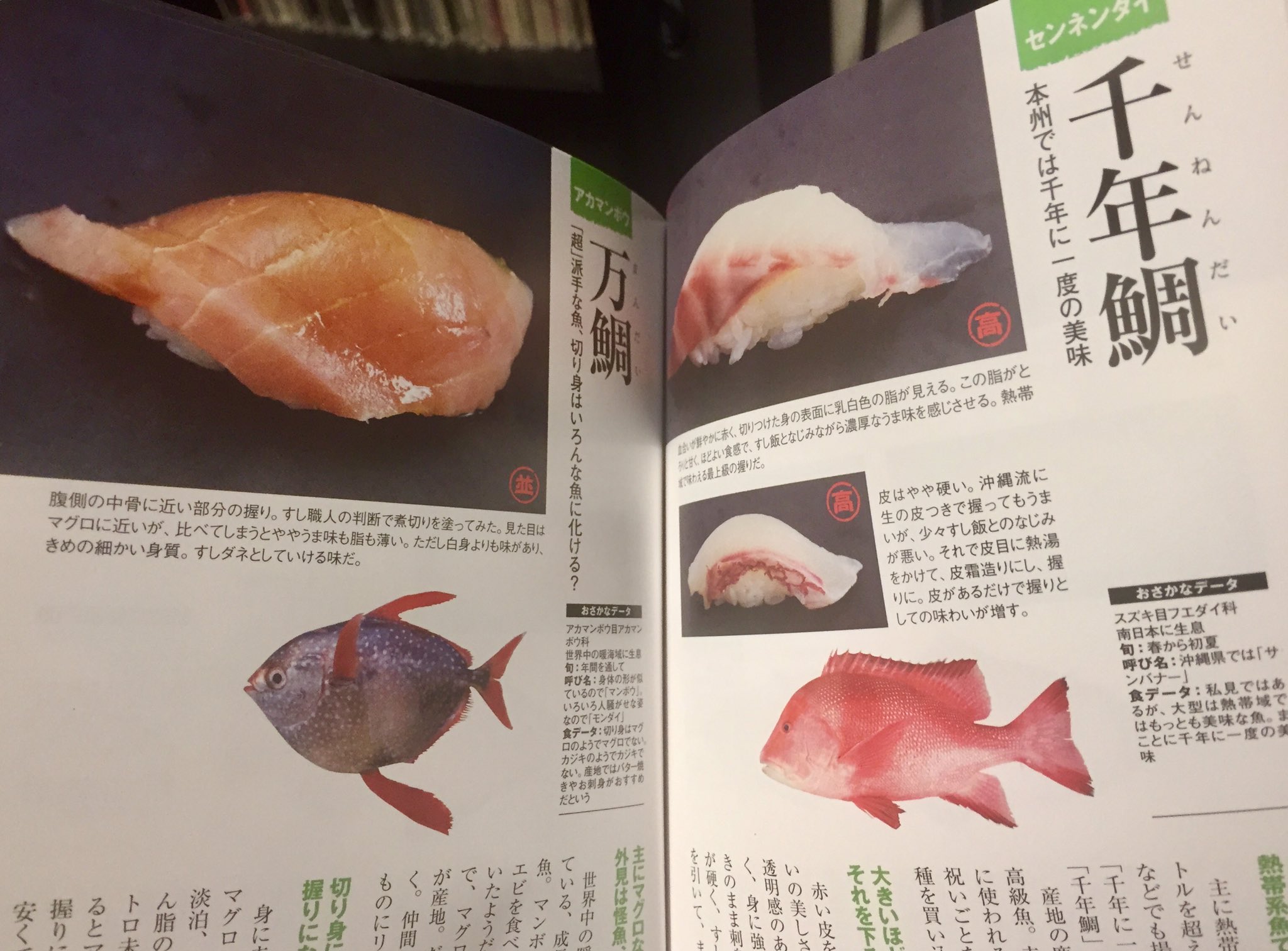 たーもり メジャー魚から のマイナー魚まで 最高ー