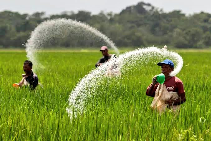 Agriculture theme Urea is one of the highest consumed fertilizer in the country as a source of NitrogenDAP is the 2nd most consumed fertilizer in the country as source to increase Soil's PHNutrients are the other source which a plant need for better fertility3/n