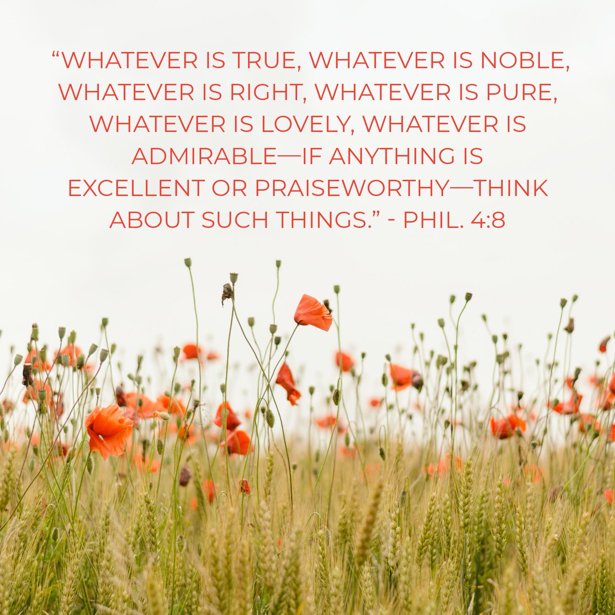 Please comment below with your prayer request. We would love to pray for you!