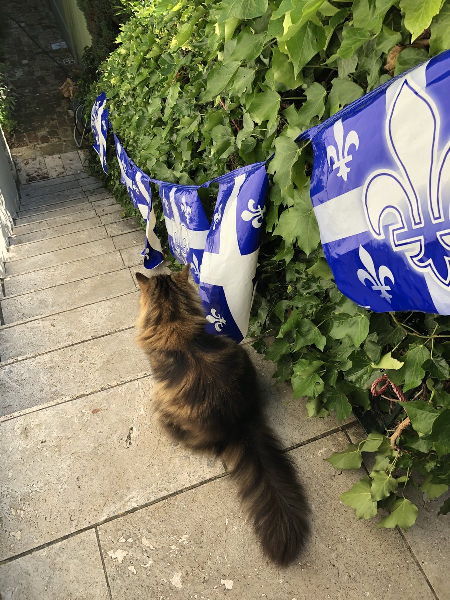 BarbaraDanielQG's tweet photo. Finalement je me suis pas débrouillée. Je fais la surprise à ma patronne. Apparemment, c’est la fête nationale du Québec demain....Alors je participe ! https://t.co/0bMIYPJWXe