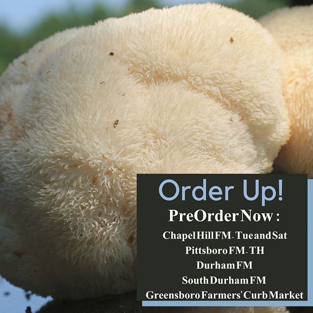 Come grab some of these other worldly looking lions mane at your local market this week. Annelise will be selling at the chfarmersmarket TODAY from 3-6pm. Laura will be at thepittsborofarmersmarket on Thursday too. Or you can pick up at any of our 4 Saturday markets. We have sa