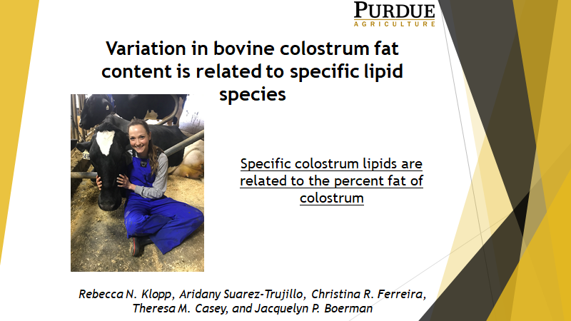 PurdueAgDean's tweet photo. Congratulations to @PurdueANSC's Rebecca Klopp for placing 3rd in the @ADSAorg Production PhD oral competition with her talk on characterizing lipid species in colostrum. #PurdueStudent @PurdueAg https://t.co/JEOSUu2Hf7