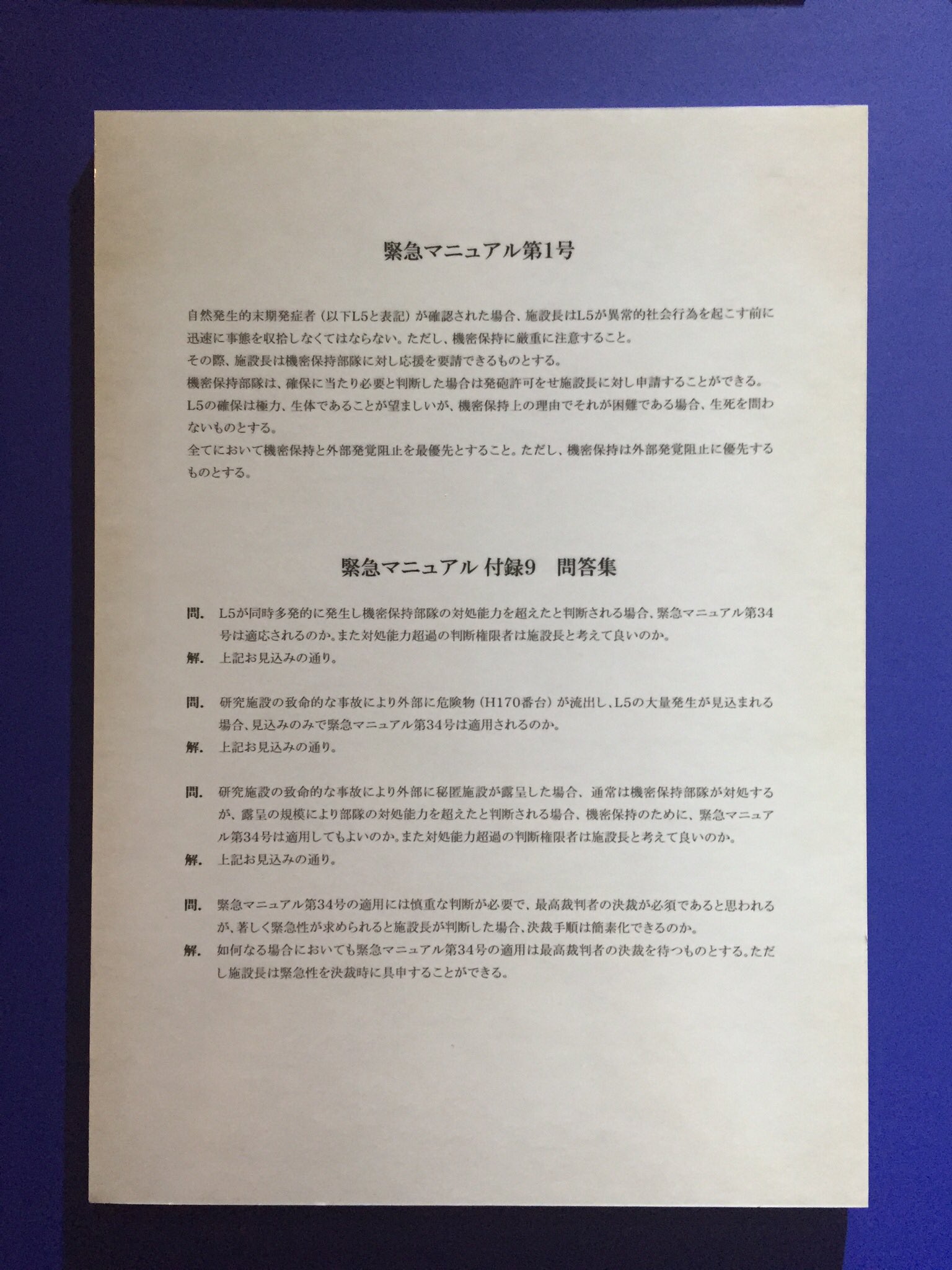 期間限定値下げ】美品！ ひぐらしのなく頃に 34号文書 鷹野三四 - その他