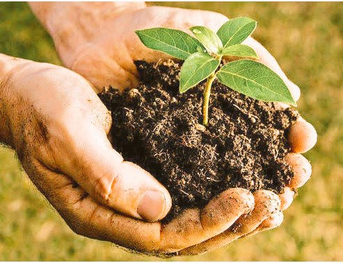 Agriculture themeIn nutrients plant majorly needs nitrogen, phosphorus & potassium along with calcium, magnesium, zinc & sulphur for better fertility & productionWith shortage of organic Fertilizers farmers are going to use more of inorganic fertilisers for crops4/n