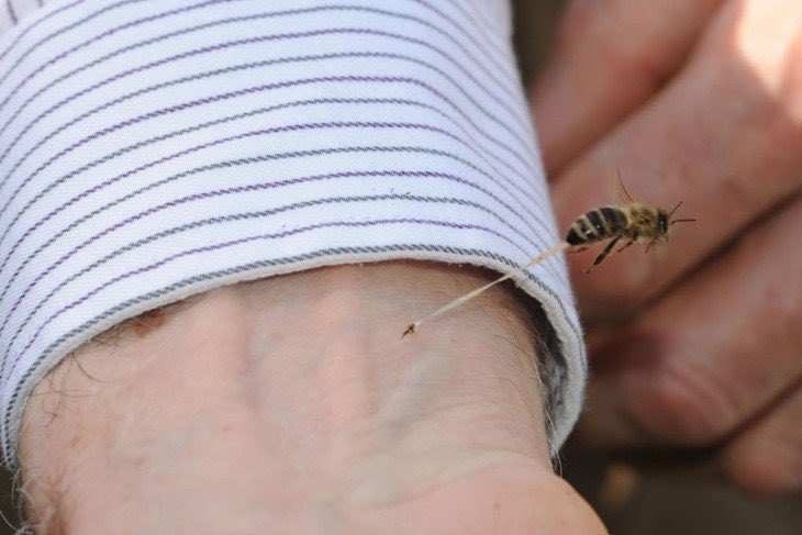 #هشتاقك_مع_حمممدان_О54О547О49✅
أُخذت هذه الصورة في توقيت مثالي للغاية ، مابعد اللدغة 🐝🐝 
XmM