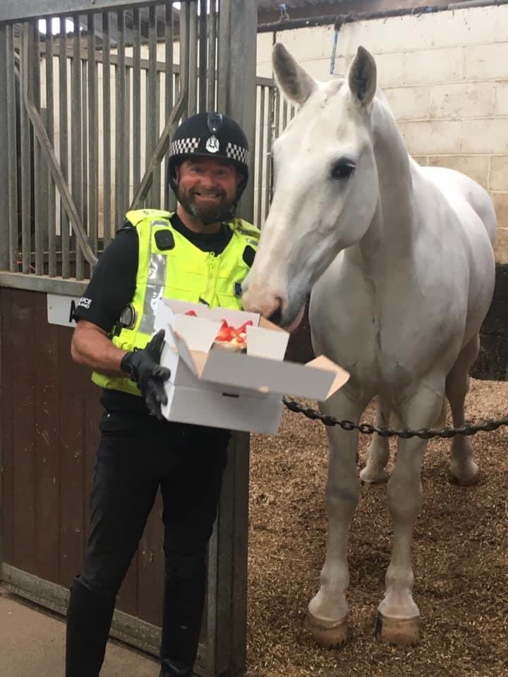 MeritoPub's tweet image. Spoons at Merito.
A special delivery this morning , complimentary Strawberry Tarts to the guys at Police Scotland’s Mounted Unit , a small thank you to our frontline workers , I’m sure like me you enjoy seeing the horses out on exercise in our local area .