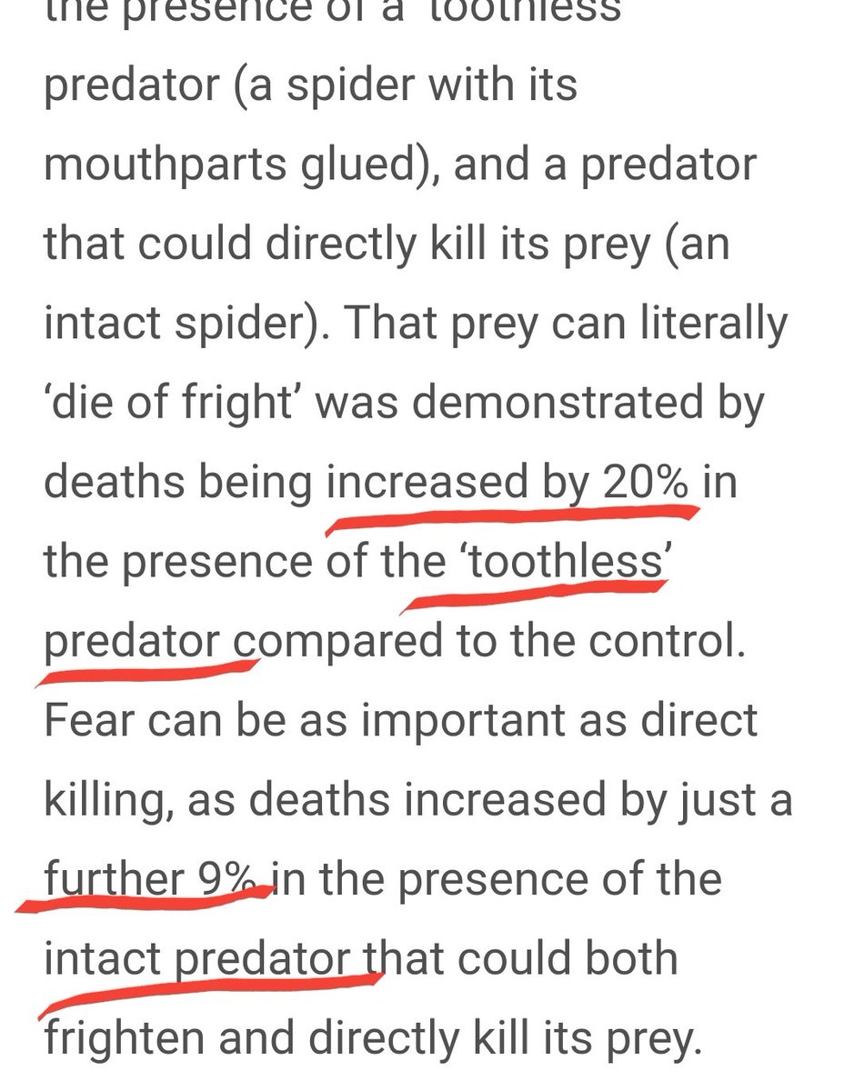 Here is a study on insect and small animals that die spontaneously in the presence of a percieved danger.