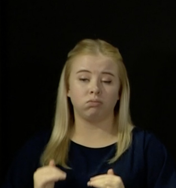 The sign language girl captures my feelings on this well