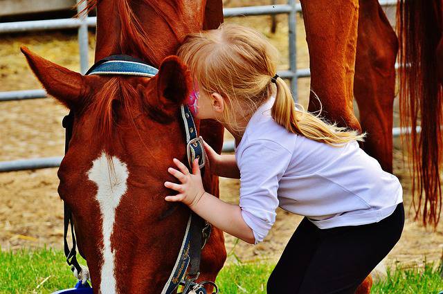 Jewel_Thomas_PB's tweet photo. Stories from the farm for kids that love animals...
#PictureBooks #farmlife
#farmlife #horses
#childrensbook #kids
#reading #Children
On KOBO and Amazon -
https://t.co/VucGam5r0o https://t.co/0WcELwbdFS