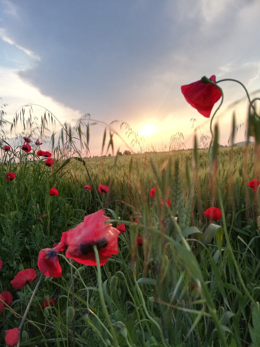 Birçok şeyden-insandan daha güzel.