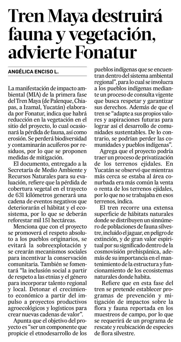 “Tren Maya destruirá fauna y vegetación, advierte Fonatur”

[ <a href="/AngelicaEnciso/">Angélica Enciso L.</a> vía <a href="/lajornadaonline/">La Jornada</a> ]