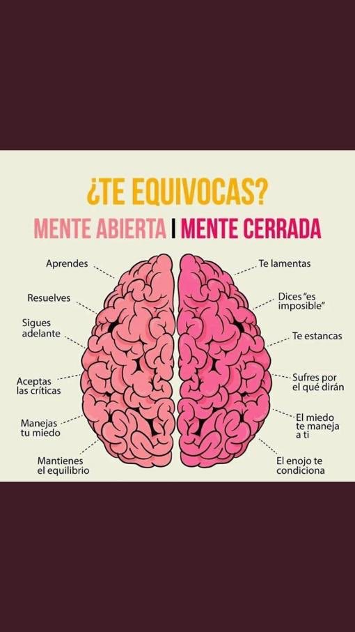 Nikochiacchiera's tweet photo. https://t.co/1EjJRdnNTH