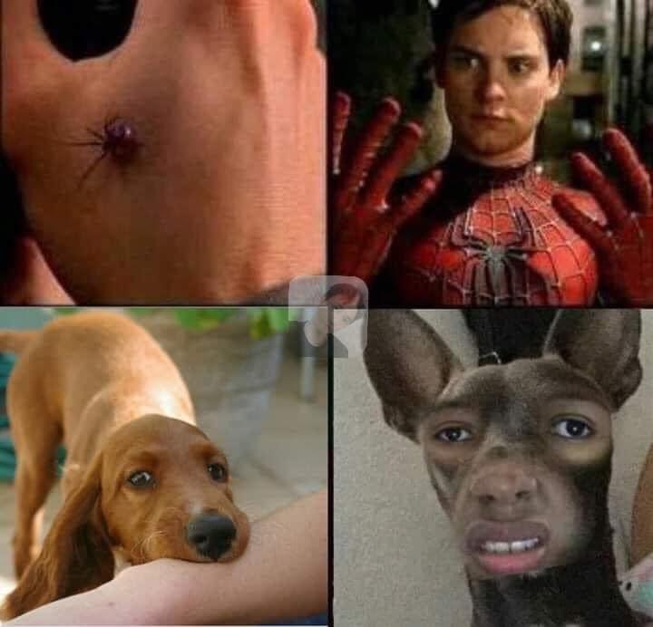 มึงได้หรอวะะะ