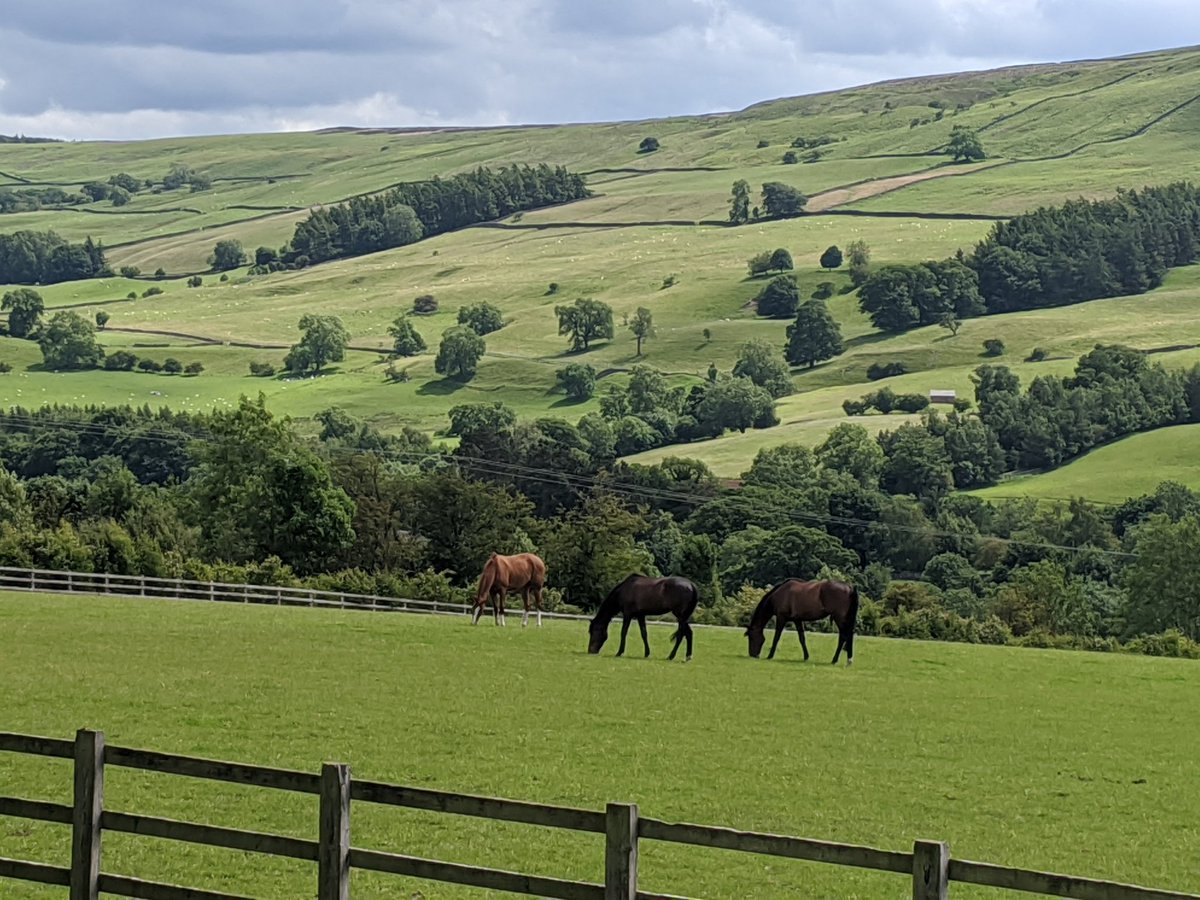 sbingo13's tweet photo. Coverdale 🌳🌤️🐴 #YorkshireDales #Yorkshire #Engkand #GreatBritain🇬🇧 @StormHour @metoffice @bbcweather @BBCLookNorth @yorkshire_dales @YDS35 @WeatherWolds @yorkshirepost @Welcome2Yorks @Yorkshire_Life https://t.co/JH1VuvQ5n6