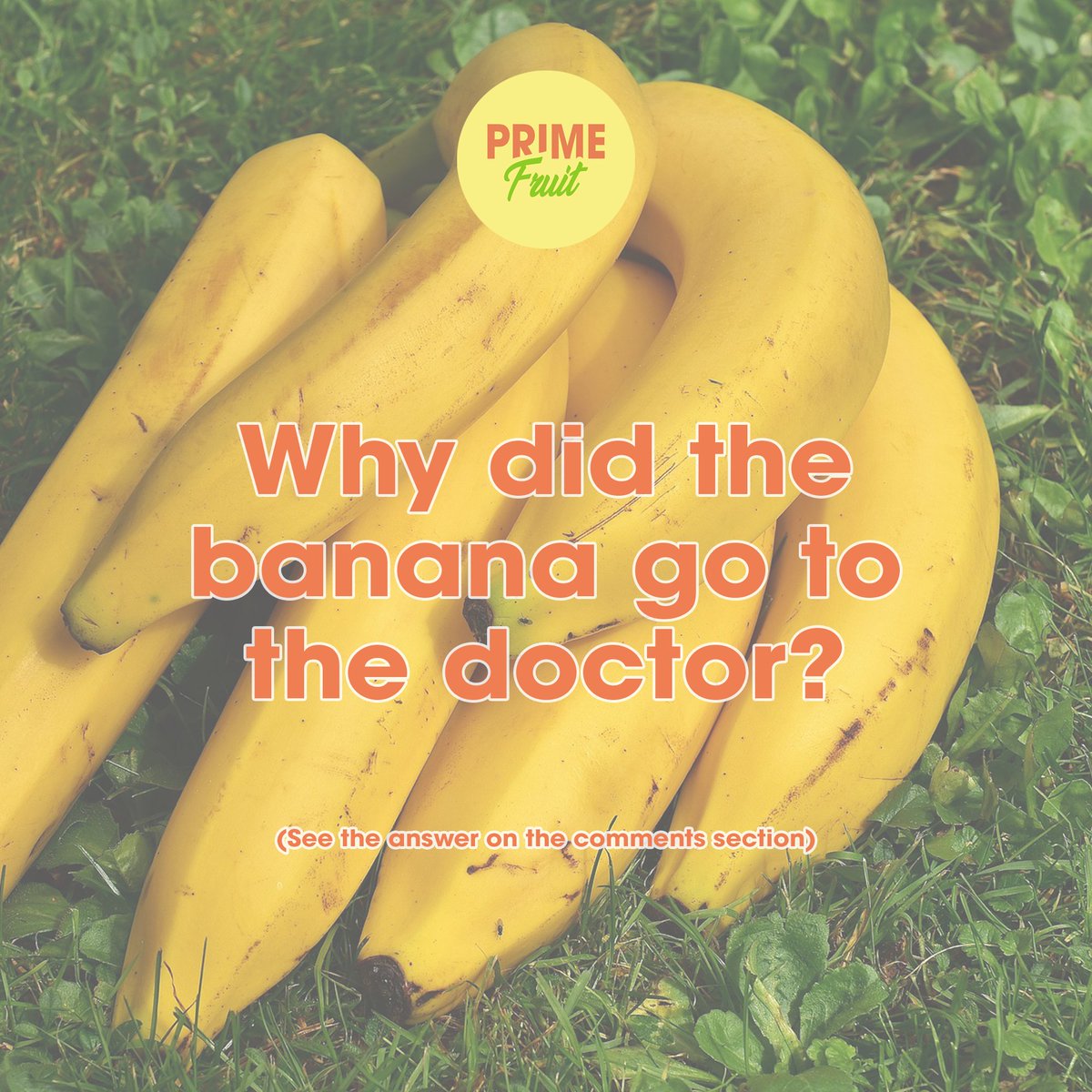 PrimeFruitUAE's tweet photo. When it's Tuesday and you needed a good laugh. 😂
⁠.
.
.
.
.
#PrimeFruitUAE #UAEfruits #dxblife #UAE #mydubailife  #dxblife🇦🇪 #DubaiLife #dxb #instafresh #DubaiFood #DubaiFoodie #MyDubai 
 #DubaiFruitDelivery #mydubai🇦🇪 #Fruits #dubai🇦🇪 #dubai❤️ #dubaieats #bananajoke https://t.co/RawibNlfTf