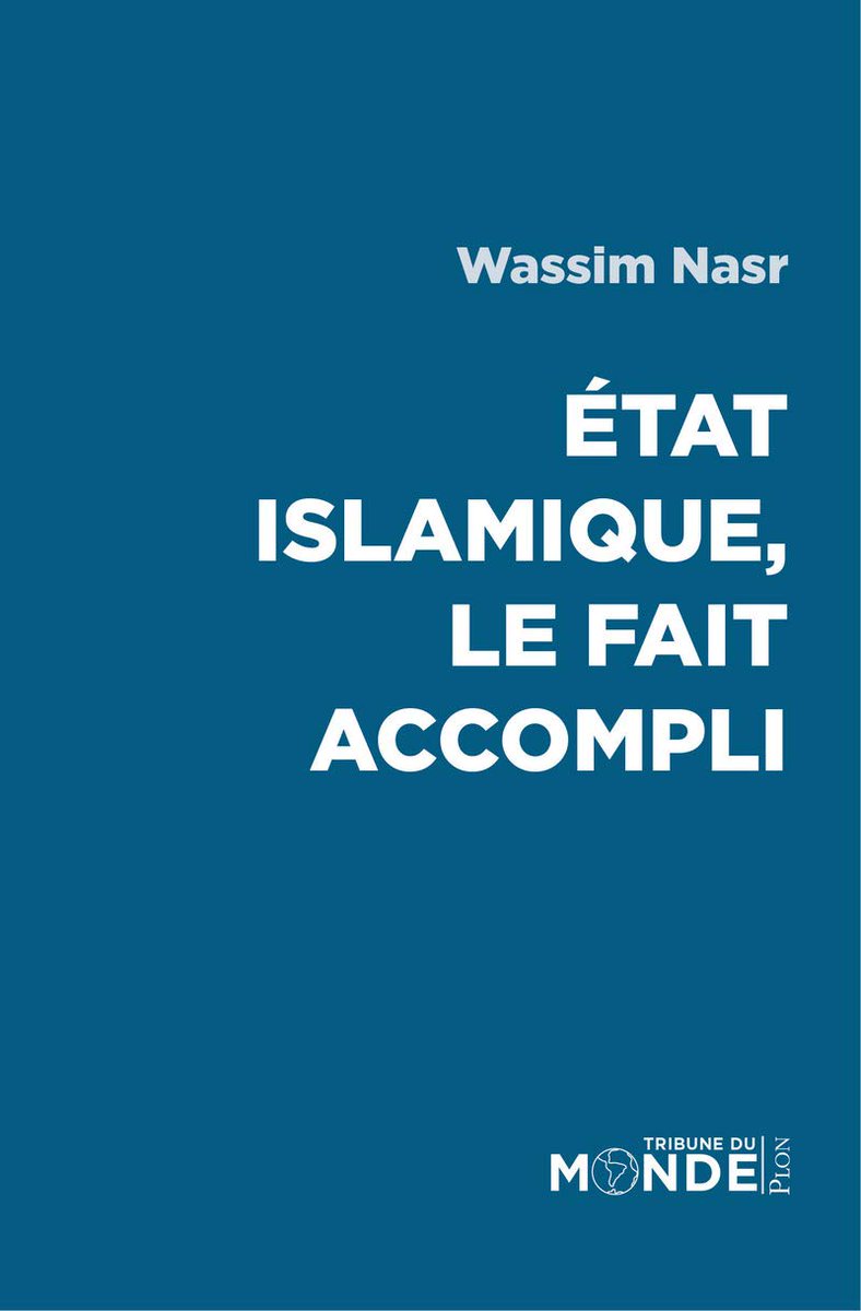 Je vous passe les détails, mais le livre sur lequel je m’appuie (État islamique, le fait accompli, de Wassim Nasr) multiplie les témoignages de situations de corruption aberrantes en Irak ;