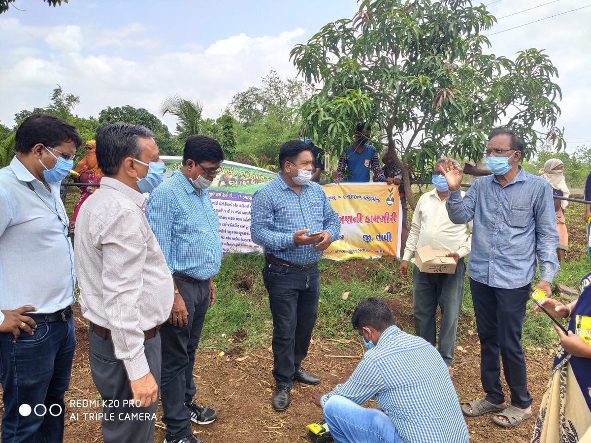 સમગ્ર તાપી જીલ્લામાં એજીઆર-૨ યોજના હેઠળ ઉંદર નિયંત્રણ તથા લેપ્ટોસ્પાયરોસીસ અટકાયત કામગીરી ખેતીવાડી તથા આરોગ્ય વિભાગના સંકલન દ્વારા પૂર્ણ કરવામાં આવી :
