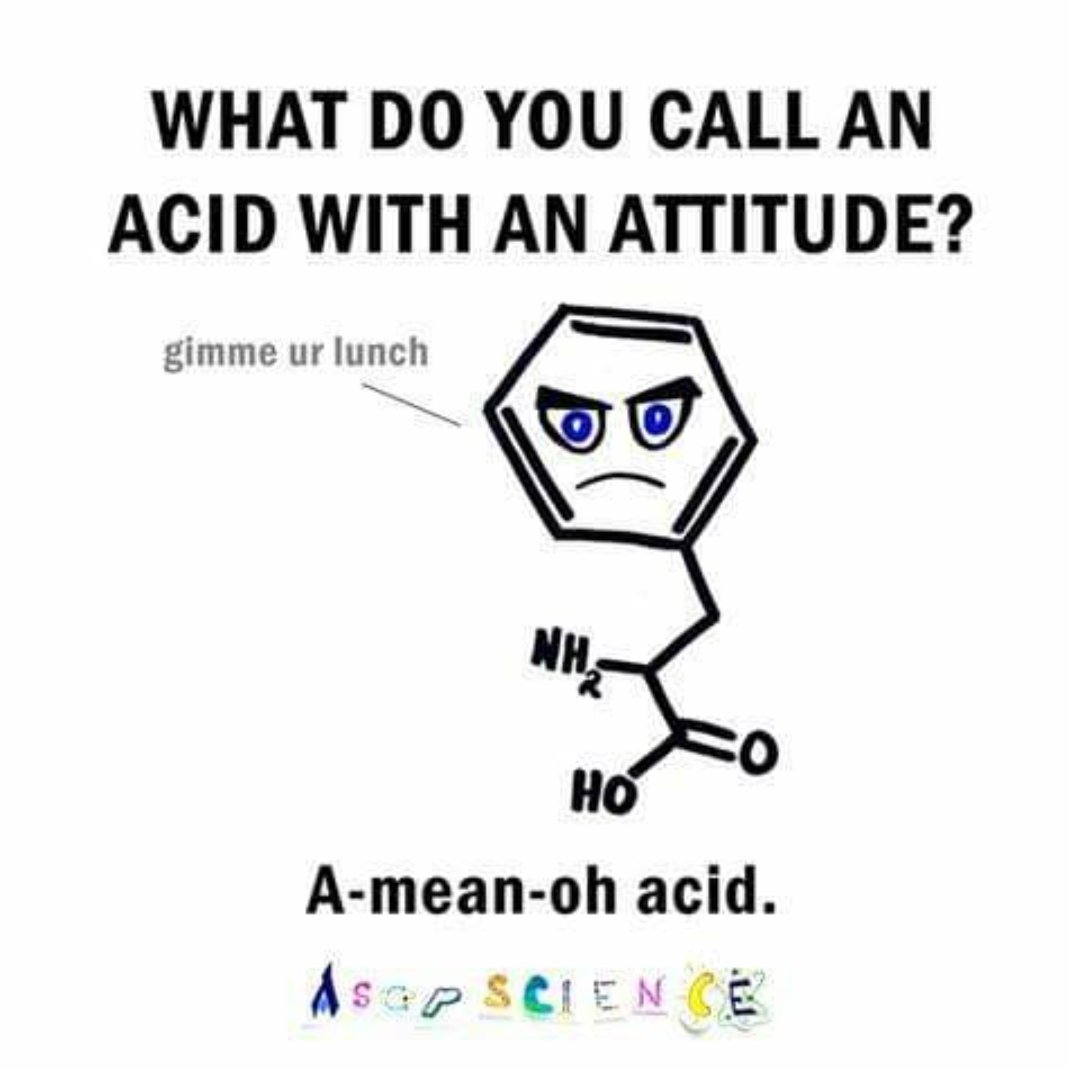 AP_Bio_GOD's tweet photo. #Aminoacidshavefeelingstoo https://t.co/28cjYpVdpN