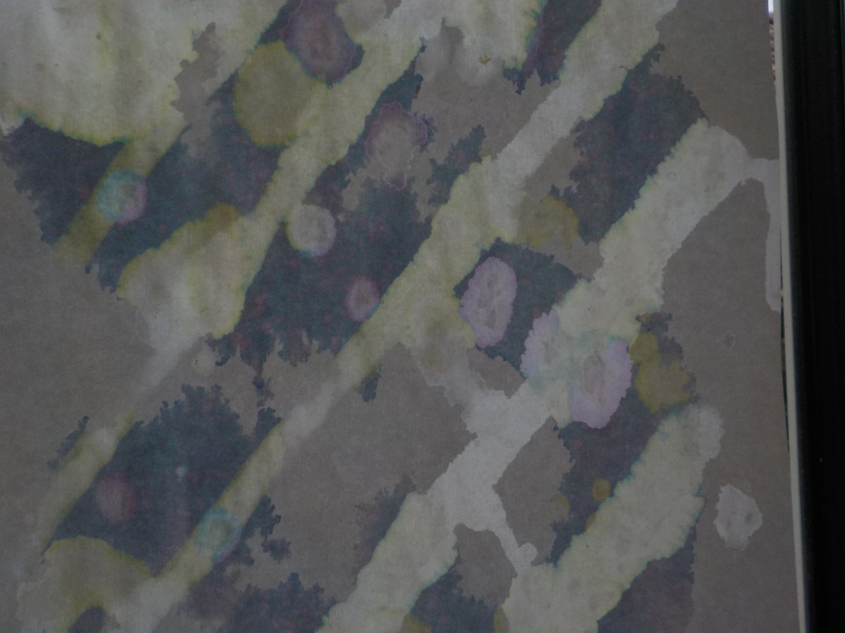 DownendScience's tweet photo. More magic art π¨using a base of red cabbage water on paper. Beautiful pastel colours appear when soap, lemon juice and vinegar are used to paint over the paper. @DownendART π¬ #DownendScienceClub https://t.co/Eu5chUrwHU