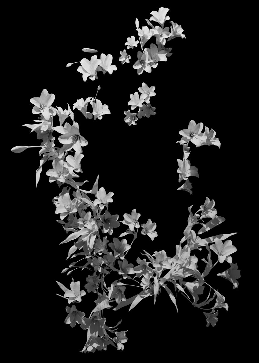 Twitter 上的 Swav 百合の花をすきな場所にたくさん生やせるようにした 大量に花が必要なイラストに使えそう T Co Cjkx18kbya Twitter