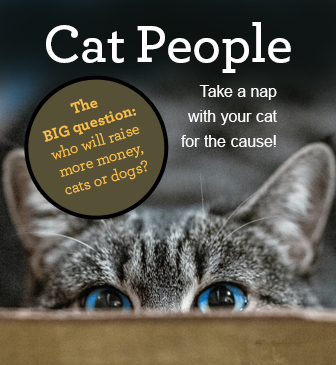 CUHumane's tweet image. Let's help the cats catch up with the dogs! We've got one week left in the Mutt Strut/Cat Nap fundraising challenge. givebutter.com/muttnap
