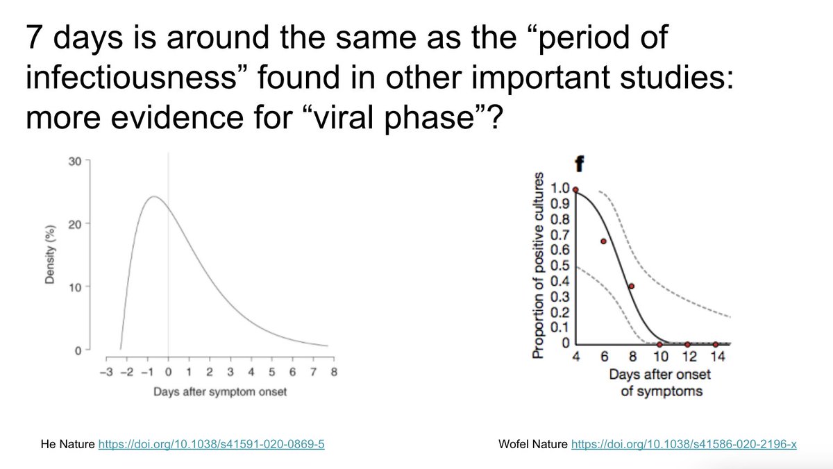 Is the finding of no benefit before 7 days of symptoms possibly more evidence for a "viral phase"? There has been a theoretical concern that steroids given during "viral phase" could increase period of viral shedding/replication