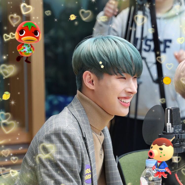 -,Mingi;- Has almost caught all bugs and fish in the game- Tarantulas and scorpions almost scare him half way to death- FLOWERS EVERYWHERE- Favorite villagers are Ketchup & Zucker- Helps guliver when he appears otherwise he’ll feel bad about it later