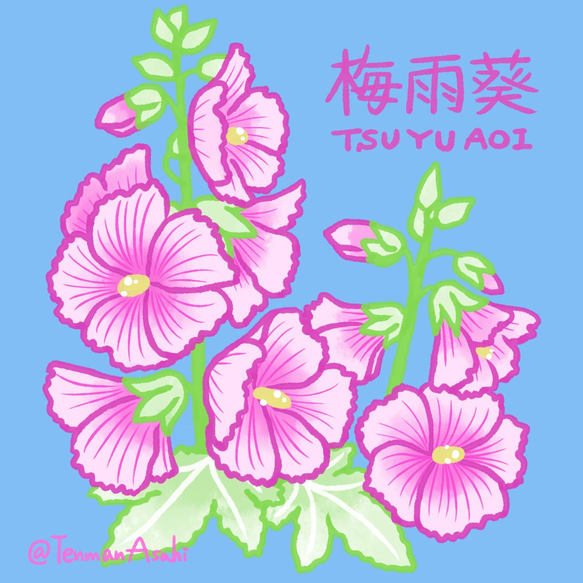 旭天満 アカウント移行します 6月 28日目 イラストデザイン ムラサキツユクサ トラデスカンティアは属名 75種あるそうです 青から紫の色が多いですが ピンクや白もあります 交雑していることも多いようです もともとは園芸植物だったものが 今は世界