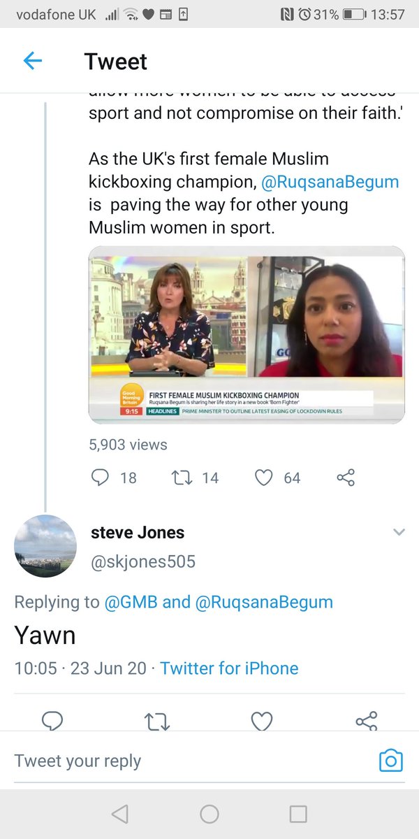 Everyday Racists *28. Steve. Steve hasn't yet discovered the lost land of 'Irony'. When David Lammy tweets about Windrush, Steve replies by talking about the recent horrific murders; but accuses Lammy of having a 'racist agenda'. Steve's other tweets suggest his own agenda.