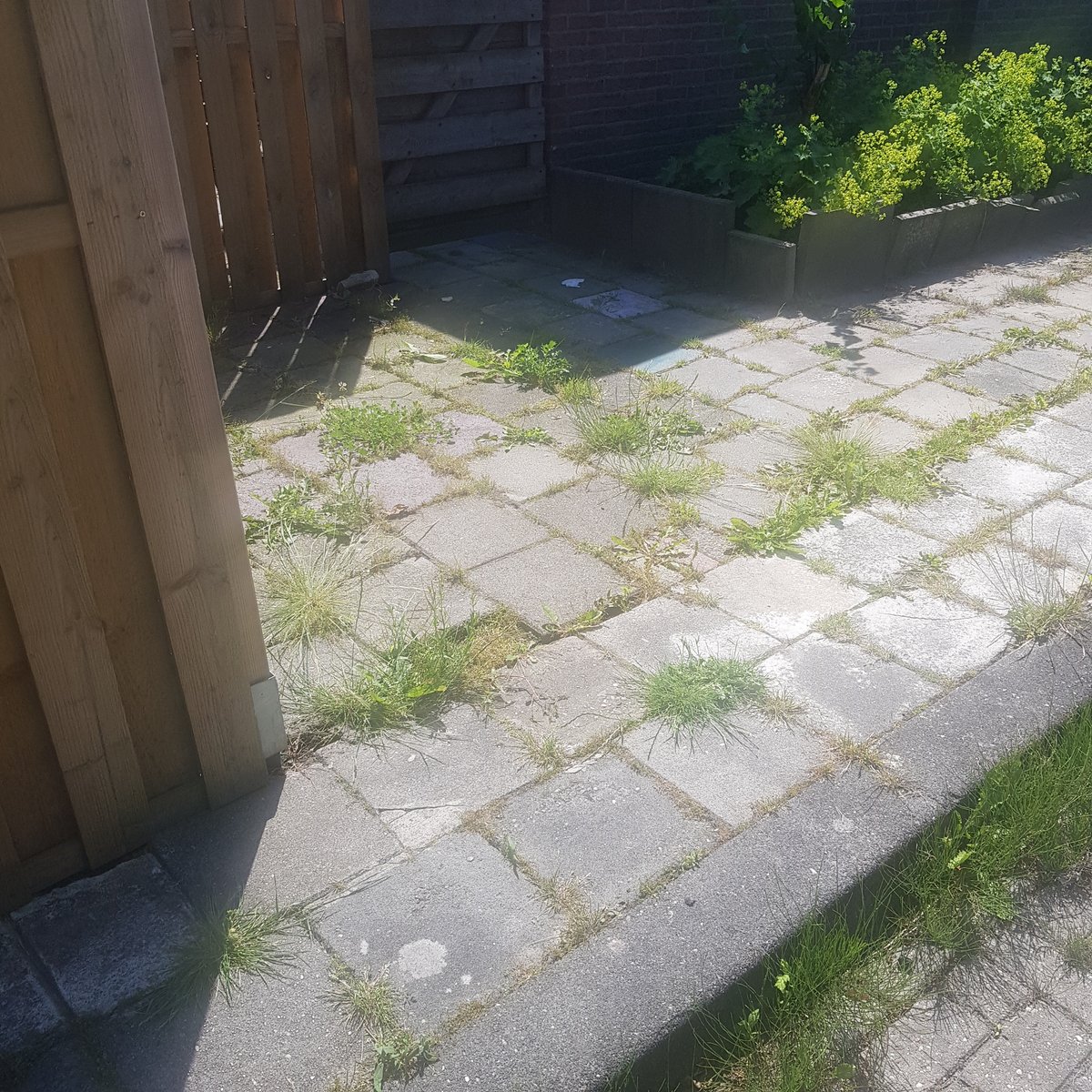 Nog zoiets, zijkant van Heemweg 1 in Bedum en tussen 17 &amp; 19 Heemweg Bedum.