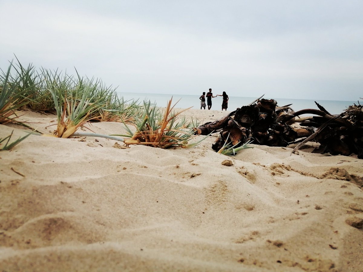 Jaffna MOJO Diaries Day 03 - Neduntheevu / Delft  #SriLanka  #beauty  #jaffna  #MOJO  #socialworklife  #socailwork  #mediacorps  #journalism &ndash; bei  Neduntheevu Island (Delft Island)