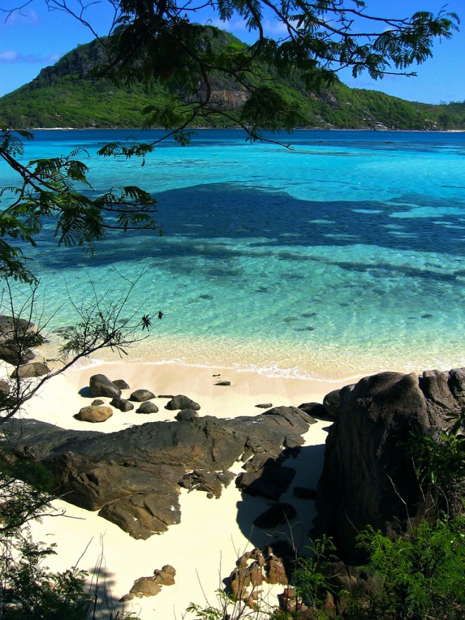 FlyttAgency's tweet photo. #FlyttStory : Le 29 juin 1976
Les #Seychelles deviennent indépendantes !
#Travel #Tourism #Histoire #Culture @visitseychelles https://t.co/Ft4troHPAG