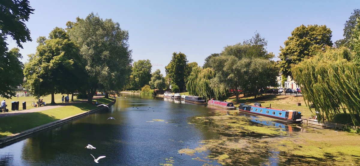 DrLinzhi's tweet image. Summer comes to Cambridge