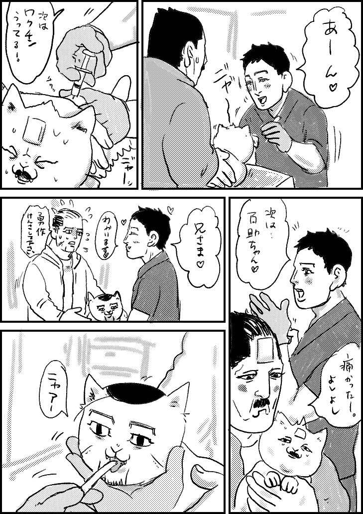 百助猫ちゃん61 