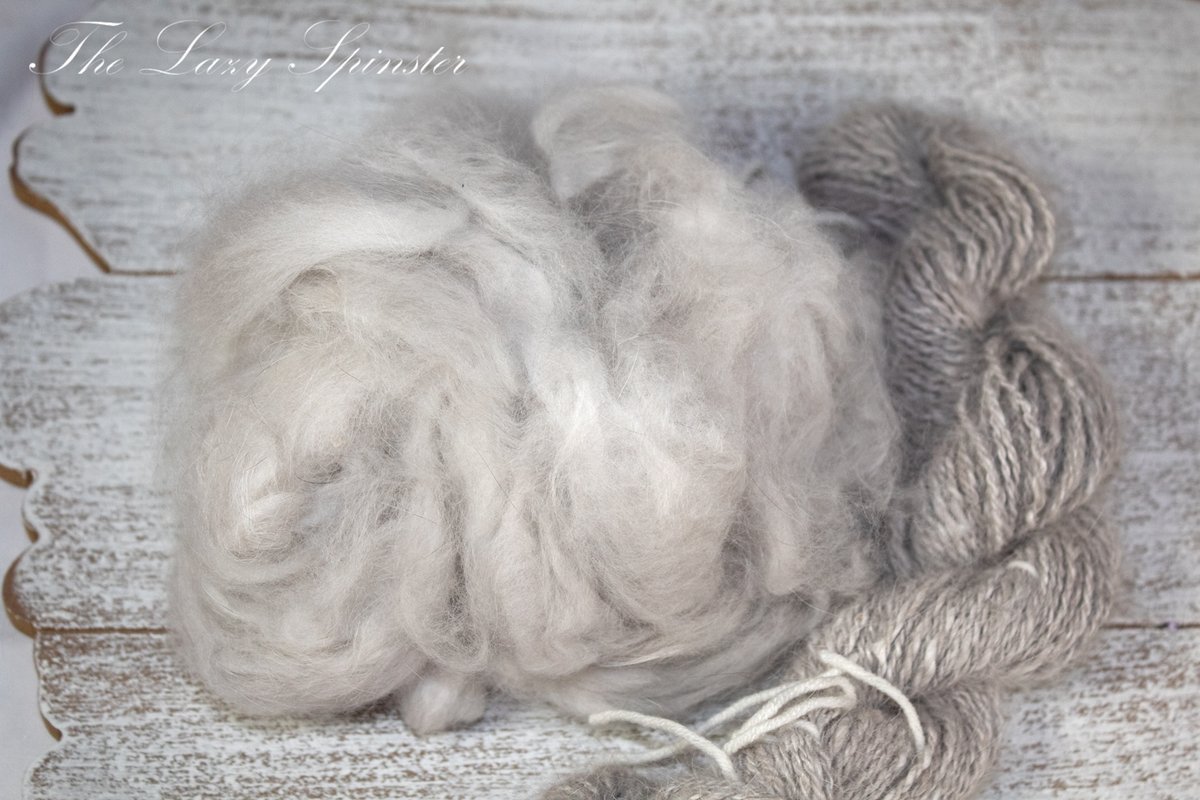 samollynn's tweet photo. Some gorgeous fiber from my guys
https://t.co/75GSyrK146 https://t.co/s97VK8BjUm