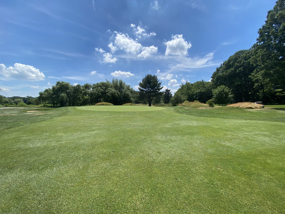 Andrew Koffman ⛳️ tweet media