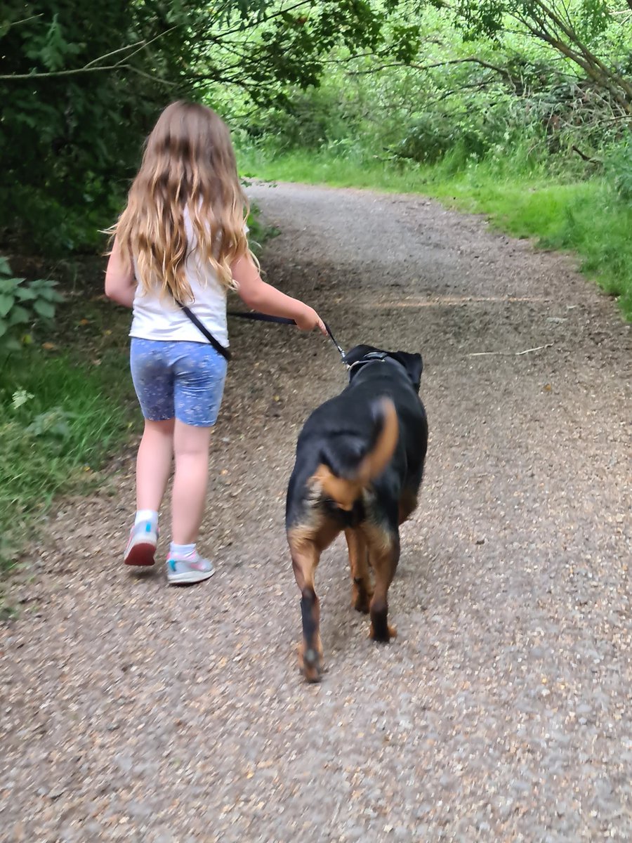 LittleP_18's tweet photo. Out for a walk tonight left the bike at home. Also bought Betsie out for a walk. She is a really good girl when she listens. Abit like me lol 😆 #PR18 https://t.co/9ANbflgJbm