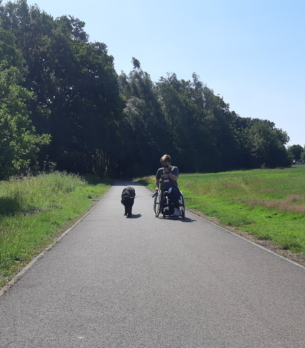s_jool's tweet photo. 35 km done so far, with some help from my Side Kick Cody 🐶
@SuperheroTri
#findyourpower 
#Athomesuperheros https://t.co/ZwqrFGdlM5