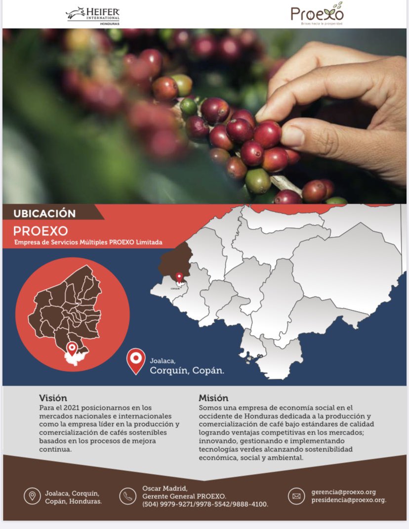 ProexoH's tweet photo. Agradecemos este gran apoyo a nuestra organización al Proyecto Heifer Internacional Honduras nuestros asesores Scarlette Zeron y Modesto Espinoza. Mil gracias seguimos por más ☕️💯🍒💪 #proexo #cafeespecialesproexo https://t.co/eGDKsian0o