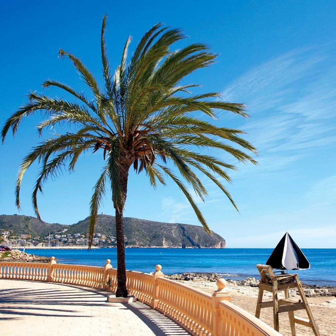 Turismo Costa Blanca tweet media