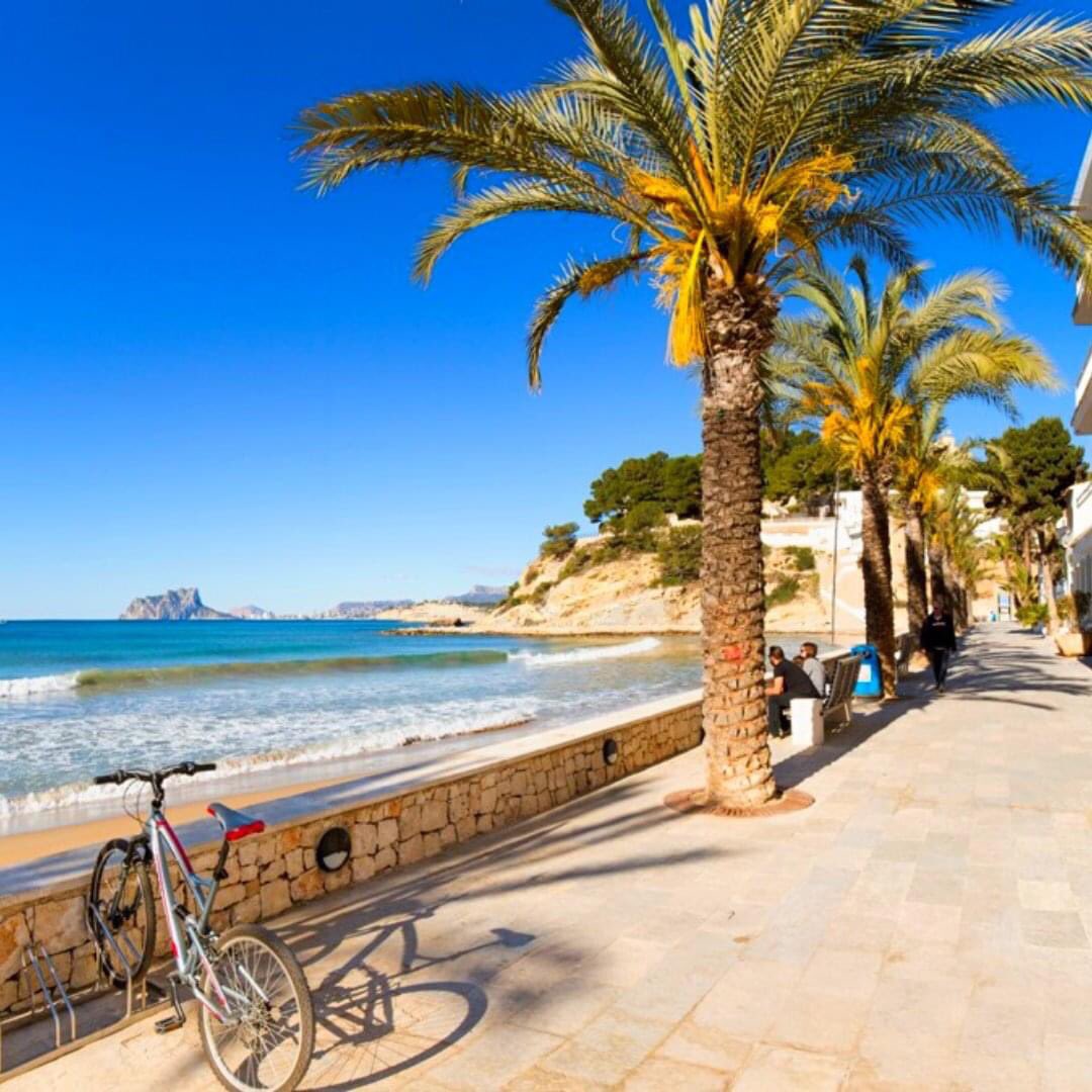 Turismo Costa Blanca tweet media