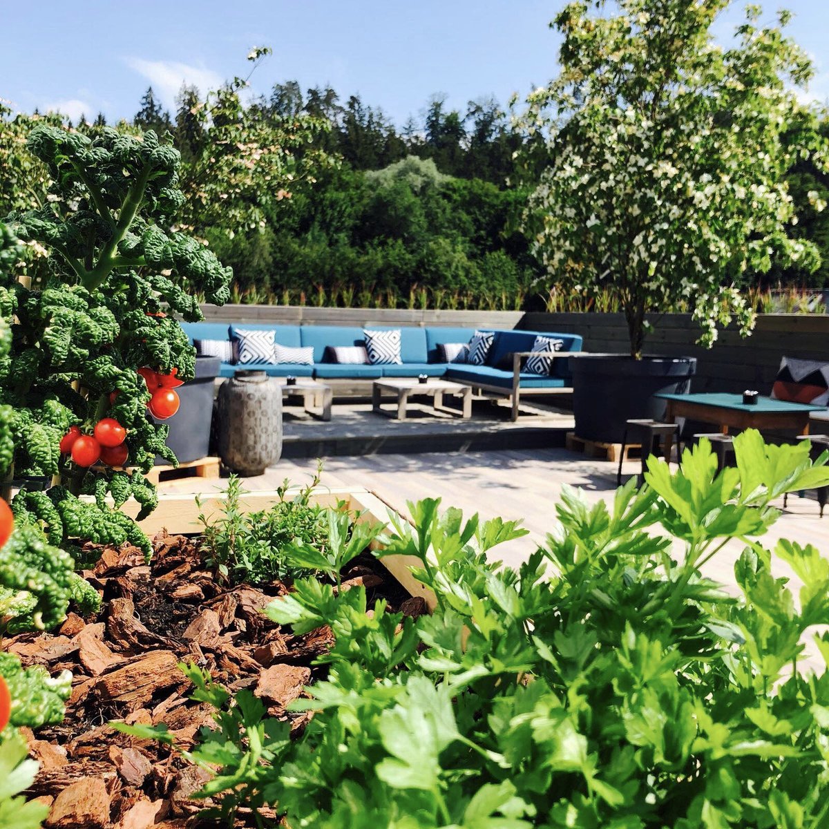 BEMeitschiBlog's tweet image. Neues Brunch Highlight!

Diesen Sonntag findet auf der 360° Dachterrasse des Kubus Eventlokals in Bümpliz zum ersten Mal ein grosses Brunch Happening statt. Food Truck Style. Jetzt reservieren: kubus-eventlokal.ch/kubus-brunch